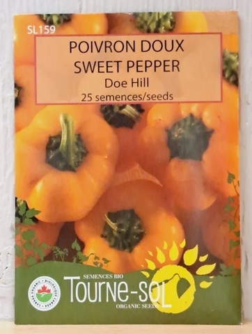SEEDS - Pepper Sweet Doe Hill (Tourne-sol)